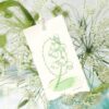 BGM PET Flower Range - Image 18
