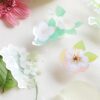 BGM PET Flower Range - Image 21