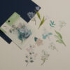 BGM PET Flower Range - Image 8