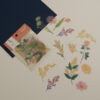 BGM PET Flower Range - Image 15