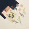 BGM PET Flower Range
